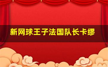 新网球王子法国队长卡缪