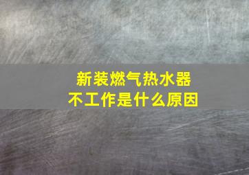 新装燃气热水器不工作是什么原因