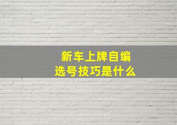 新车上牌自编选号技巧是什么