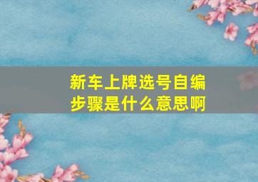 新车上牌选号自编步骤是什么意思啊