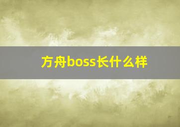 方舟boss长什么样