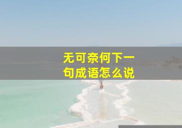 无可奈何下一句成语怎么说