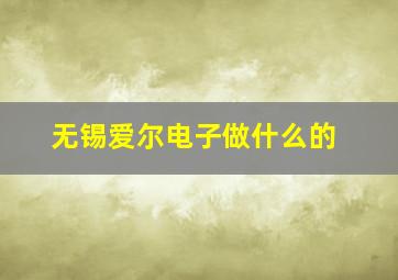 无锡爱尔电子做什么的