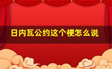 日内瓦公约这个梗怎么说