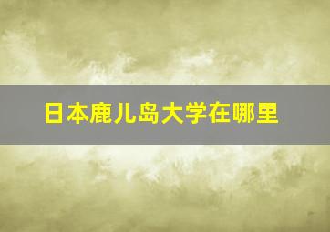 日本鹿儿岛大学在哪里