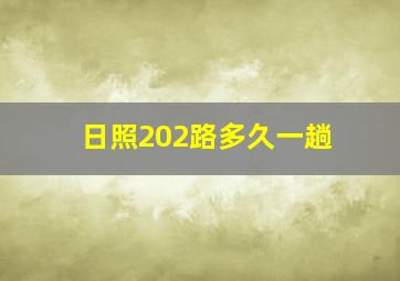 日照202路多久一趟