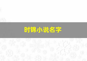 时锦小说名字