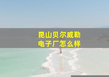 昆山贝尔威勒电子厂怎么样