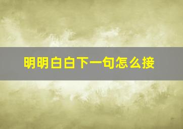 明明白白下一句怎么接