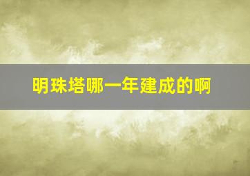 明珠塔哪一年建成的啊