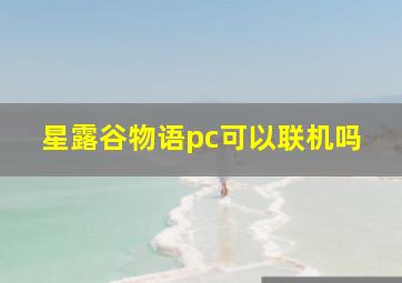 星露谷物语pc可以联机吗