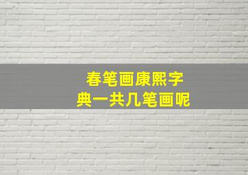 春笔画康熙字典一共几笔画呢