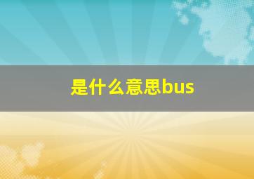 是什么意思bus