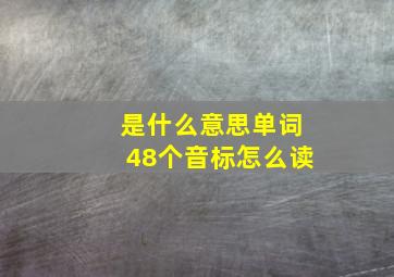 是什么意思单词48个音标怎么读