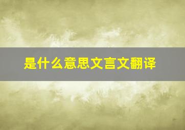 是什么意思文言文翻译