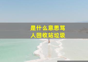 是什么意思骂人回收站垃圾