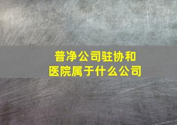 普净公司驻协和医院属于什么公司