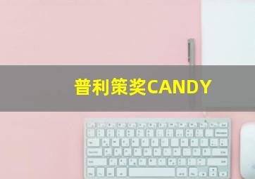 普利策奖CANDY