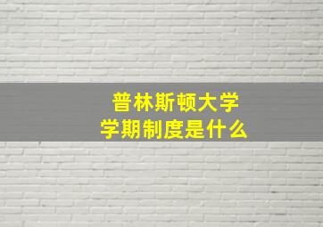 普林斯顿大学学期制度是什么