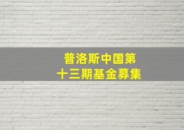 普洛斯中国第十三期基金募集