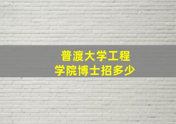 普渡大学工程学院博士招多少