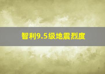 智利9.5级地震烈度