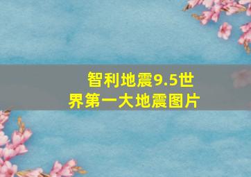 智利地震9.5世界第一大地震图片