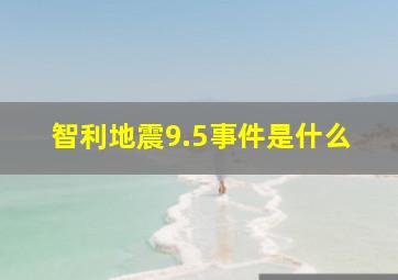 智利地震9.5事件是什么