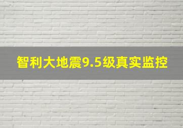 智利大地震9.5级真实监控