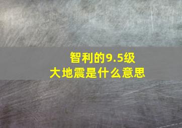 智利的9.5级大地震是什么意思