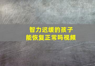 智力迟缓的孩子能恢复正常吗视频