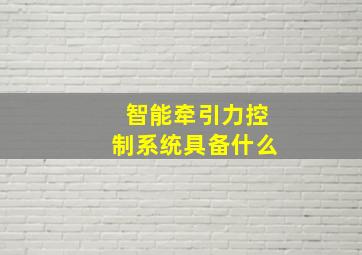 智能牵引力控制系统具备什么