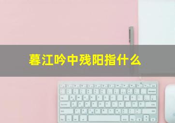 暮江吟中残阳指什么