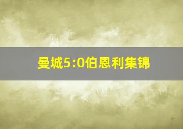 曼城5:0伯恩利集锦