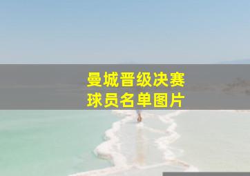 曼城晋级决赛球员名单图片