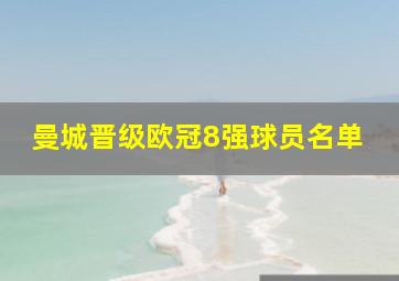 曼城晋级欧冠8强球员名单