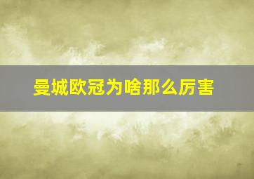 曼城欧冠为啥那么厉害