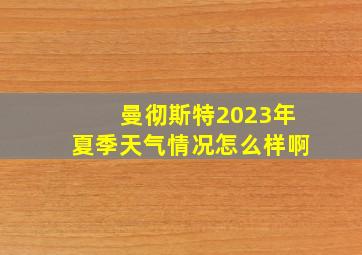 曼彻斯特2023年夏季天气情况怎么样啊