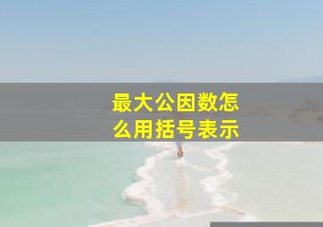 最大公因数怎么用括号表示