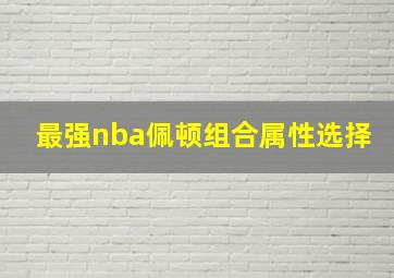 最强nba佩顿组合属性选择