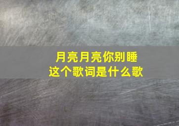 月亮月亮你别睡这个歌词是什么歌