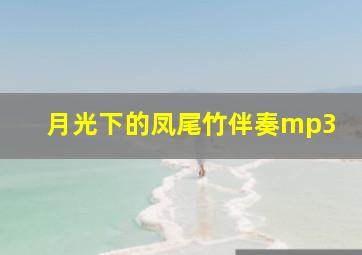 月光下的凤尾竹伴奏mp3