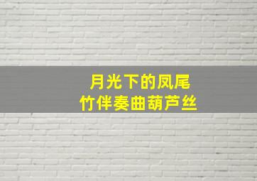 月光下的凤尾竹伴奏曲葫芦丝