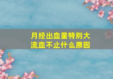 月经出血量特别大流血不止什么原因