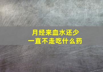 月经来血水还少一直不走吃什么药