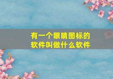 有一个眼睛图标的软件叫做什么软件