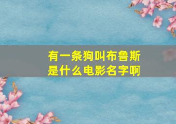 有一条狗叫布鲁斯是什么电影名字啊