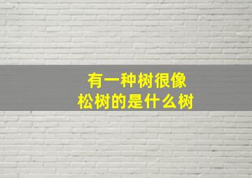 有一种树很像松树的是什么树