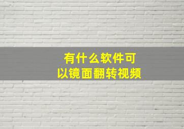 有什么软件可以镜面翻转视频