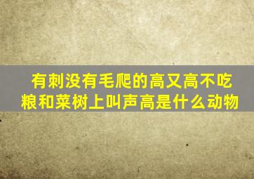 有刺没有毛爬的高又高不吃粮和菜树上叫声高是什么动物